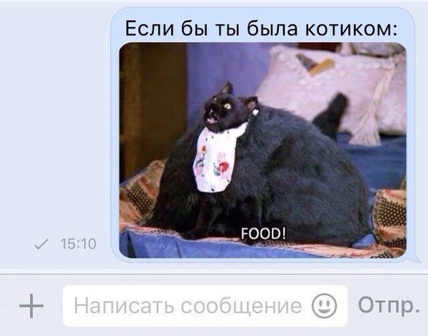 Саша Холод: Избранное